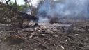 Incêndio atinge área de vegetação em Sooretama(Érika Carvalho )