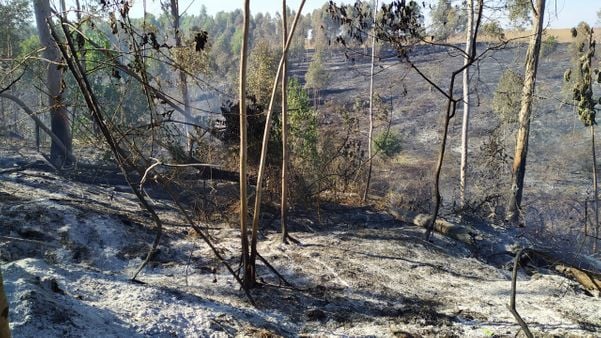Incêndio atinge área de vegetação em Sooretama por Érika Carvalho 