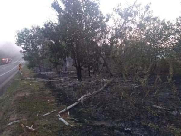 Incêndio atingiu área de vegetação em Sooretama  por Corpo de Bombeiros/ Divulgação 