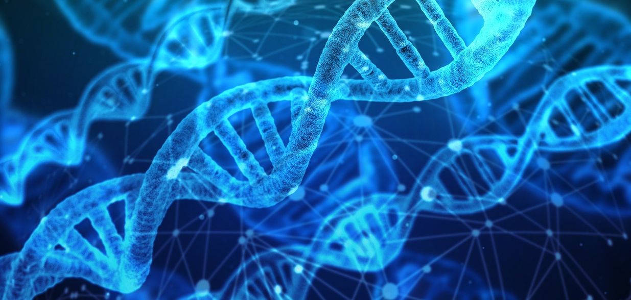 Conheça dois casos do Espírito Santo onde o DNA ajudou na identificaçao das famílias