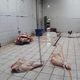 Imagem - Abatedouro clandestino é fechado em São Mateus; 379kg de carne são apreendidos