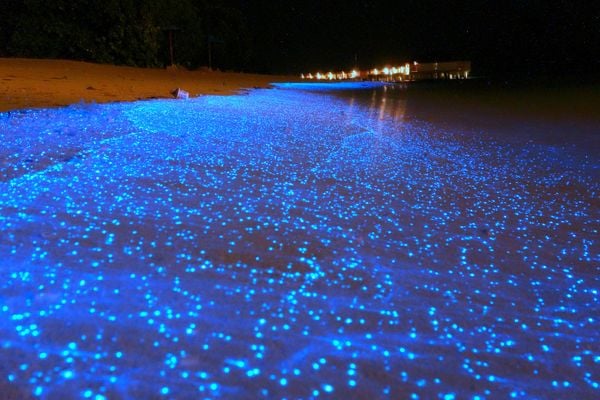 Maré Azul