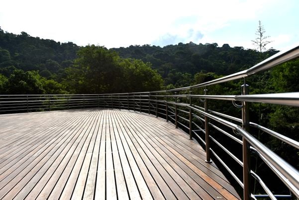  No Dia da Mata Atlântica - Prefeitura de Vitória inaugura três mirantes no Parque da Fonte Grande, entre eles, o Mirante Recanto da Floresta  por Fernando Madeira