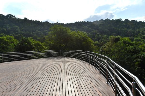  No Dia da Mata Atlântica - Prefeitura de Vitória inaugura três mirantes no Parque da Fonte Grande, entre eles, o Mirante Recanto da Floresta  por Fernando Madeira