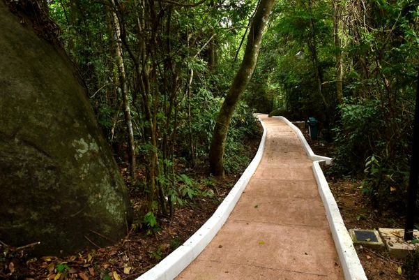 No Dia da Mata Atlântica - Prefeitura de Vitória inaugura três mirantes no Parque da Fonte Grande, entre eles, o Mirante do Sumaré e a Trilha da Pedra da Batata -