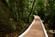 No Dia da Mata Atlântica - Prefeitura de Vitória inaugura três mirantes no Parque da Fonte Grande, entre eles, o Mirante do Sumaré e a Trilha da Pedra da Batata -(Fernando Madeira)