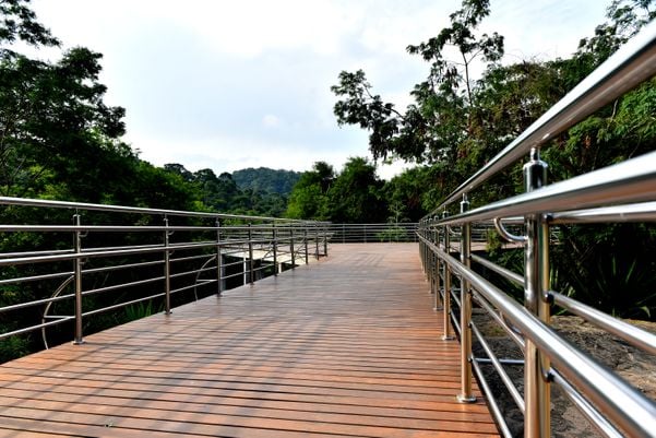 No Dia da Mata Atlântica - Prefeitura de Vitória inaugura três mirantes no Parque da Fonte Grande, entre eles, o Mirante Recanto da Floresta  por Fernando Madeira