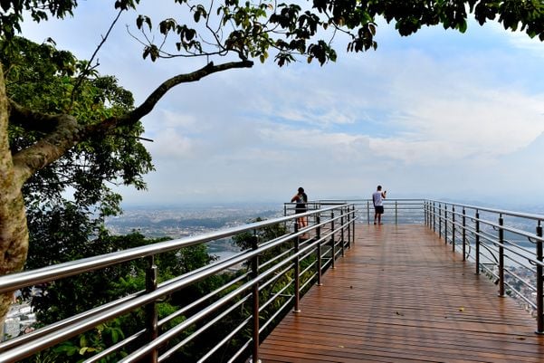 No Dia da Mata Atlântica - Prefeitura de Vitória inaugura três mirantes no Parque da Fonte Grande, entre eles, o Mirante do Sumaré e a Trilha da Pedra da Batata - por Fernando Madeira