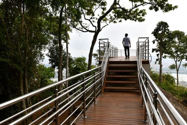 No Dia da Mata Atlântica - Prefeitura de Vitória inaugura três mirantes no Parque da Fonte Grande, entre eles, o Mirante do Sumaré e a Trilha da Pedra da Batata - por Fernando Madeira