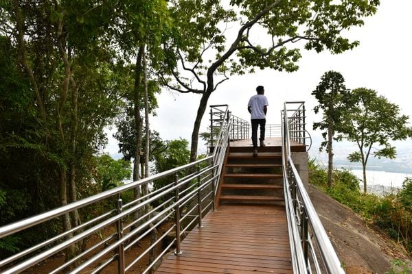 No Dia da Mata Atlântica - Prefeitura de Vitória inaugura três mirantes no Parque da Fonte Grande, entre eles, o Mirante do Sumaré e a Trilha da Pedra da Batata -
