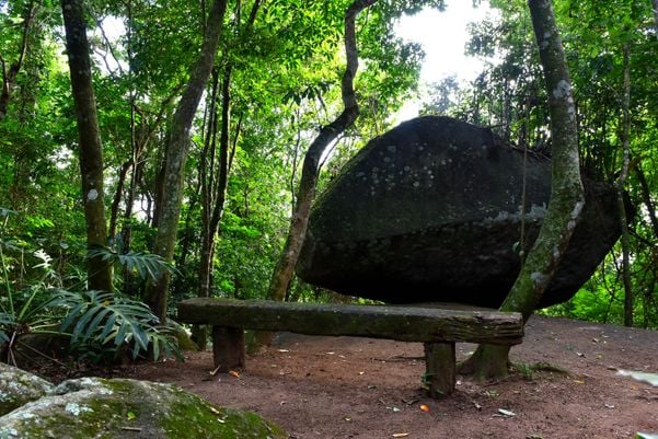 No Dia da Mata Atlântica - Prefeitura de Vitória inaugura três mirantes no Parque da Fonte Grande, entre eles, o Mirante do Sumaré e a Trilha da Pedra da Batata - por Fernando Madeira