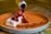 Marshmallow trufado com chocolate belga, coulis de frutas vermelhas e espumante e praliné de morango e pimenta rosa do restaurante Giardino, em Santa Teresa (Ivan Willian)