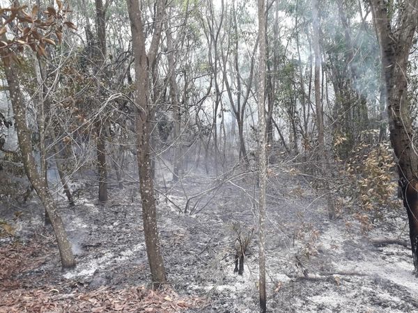 Incêndio atinge área do Exército em por Divulgação/Corpo de Bombeiros