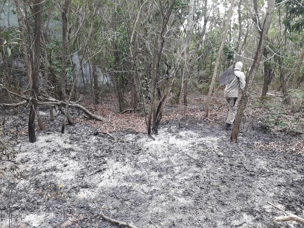 Incêndio atinge área de vegetação do Exército em Vila Velha
