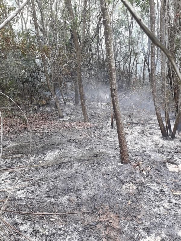 Incêndio atinge área do Exército em por Divulgação/Corpo de Bombeiros