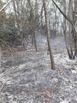 Incêndio atinge área de vegetação do Exército em Vila Velha(Divulgação/Corpo de Bombeiros)
