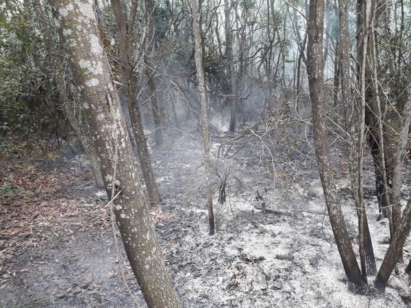 Incêndio atinge área do Exército em por Divulgação/Corpo de Bombeiros