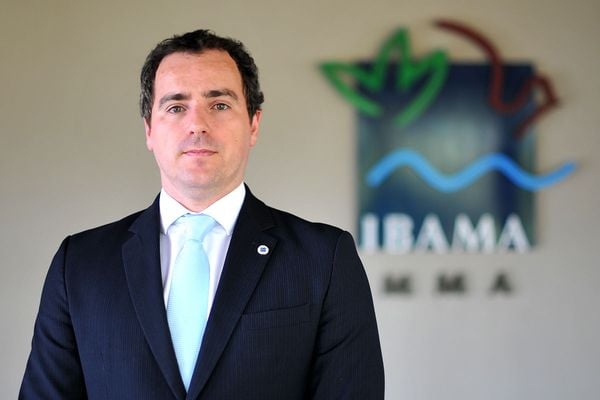 Eduardo Bim,  Instituto Brasileiro do Meio Ambiente e dos Recursos Naturais Renováveis (Ibama)