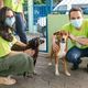 Imagem - Vitória realiza Feira de Adoção de Animais e vacinação contra a raiva