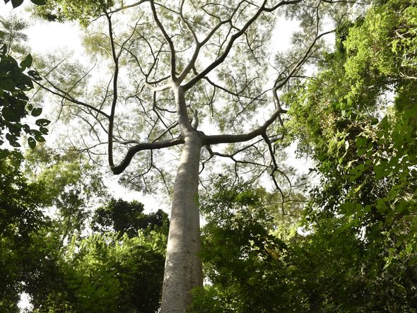 Os encantos do Mestre Álvaro, na Serra por Ricardo Medeiros