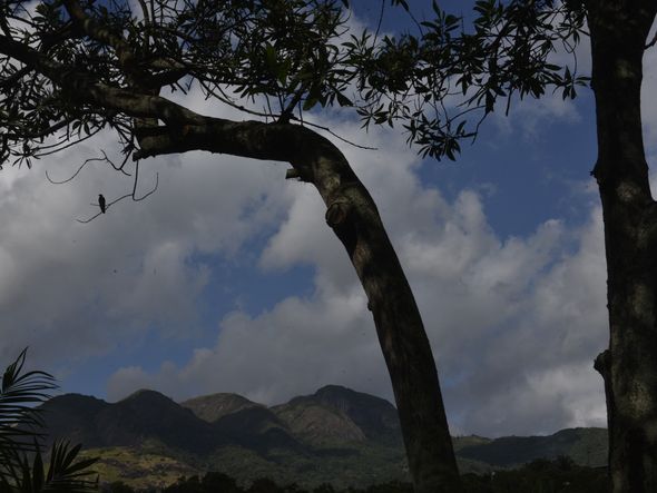 As curvas do Mestre Álvaro, na Serra por Ricardo Medeiros
