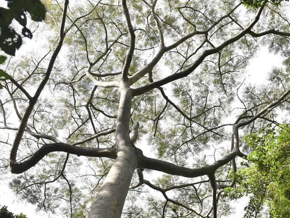 Os encantos do Mestre Álvaro, na Serra por Ricardo Medeiros