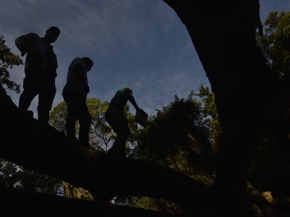 Membros de ONGs no Mestre Álvaro por Ricardo Medeiros