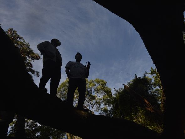 A trilha no Mestre Álvaro pode chegar a 14 km de distância por Ricardo Medeiros