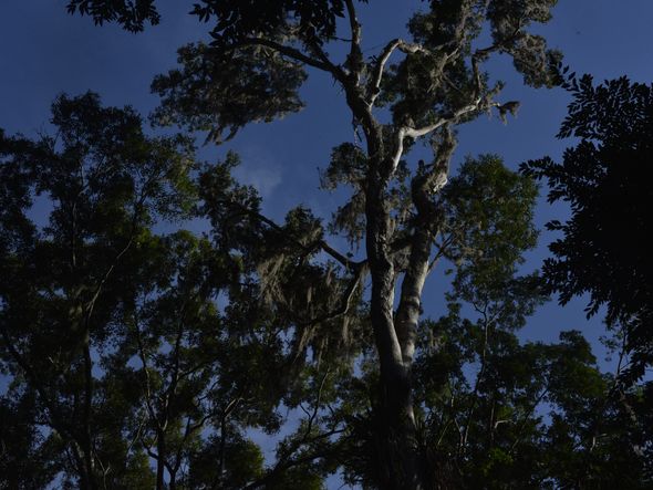 Os encantos do Mestre Álvaro, na Serra por Ricardo Medeiros