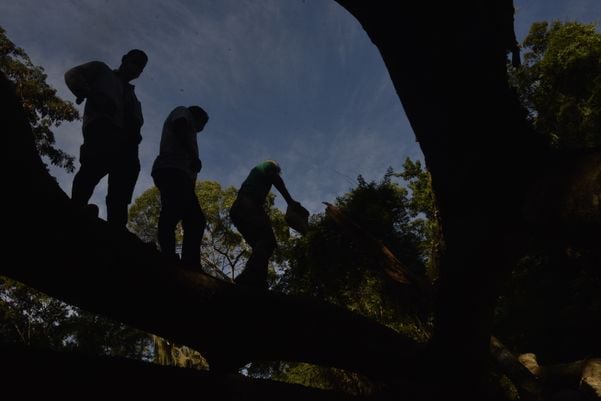 Membros de ONGs no Mestre Álvaro por Ricardo Medeiros