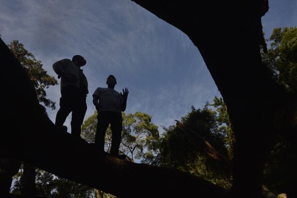A trilha no Mestre Álvaro pode chegar a 14 km de distância por Ricardo Medeiros
