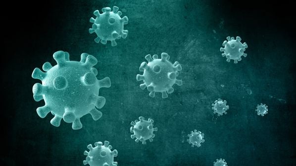 A secretaria informou que a descoberta foi feita através do sequenciamento de 116 amostras do vírus SARS-CoV-2 obtidas em Belém. Nas análises, uma amostra da Delta AY.33 foi detectada