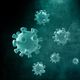 O vírus Sars-Cov-2, também conhecido como o novo coronavírus