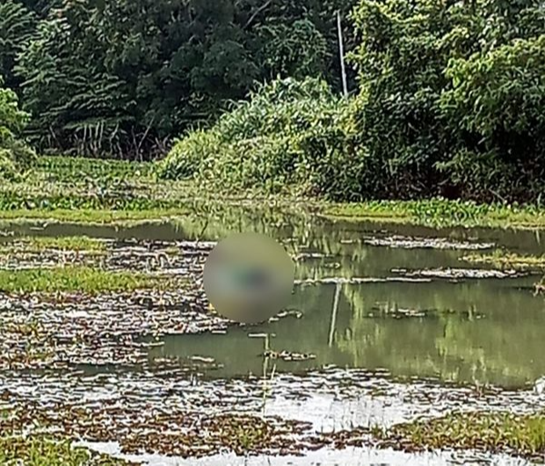 Corpo de um homem foi encontrado boiando no Rio Pequeno, em Linhares, na manhã deste sábado (5). Crédito: Site Eu Vi em Linhares