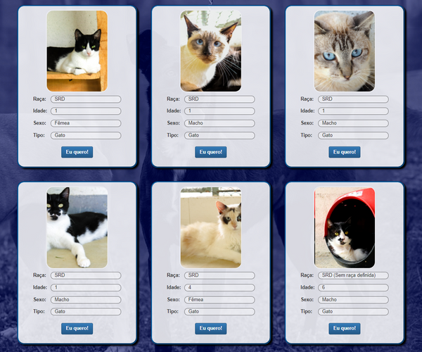 Cães e gatos disponíveis para adoção no site da Prefeitura de Vila Velha