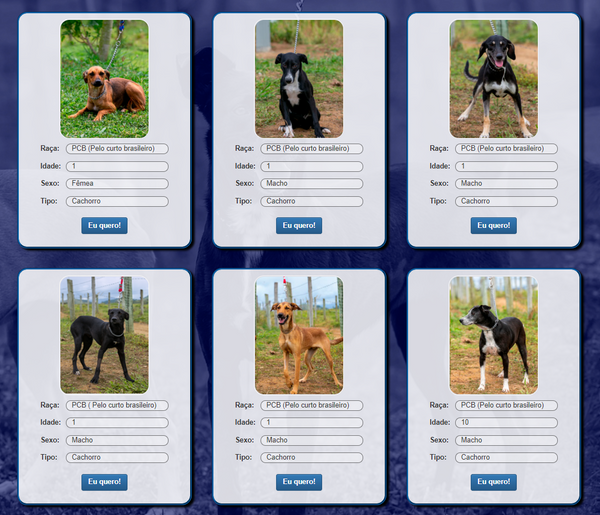 Cães e gatos disponíveis para adoção no site da Prefeitura de Vila Velha