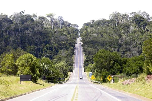 BR 101 corta a Reserva Biológica de Sooretama