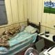 Imagem - Serralheiro é preso em flagrante por posse de pornografia infantil no ES