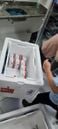 Doses de vacina contra a Covid-19 serão usadas em Viana para estudo( Roger Santana | TV Gazeta)