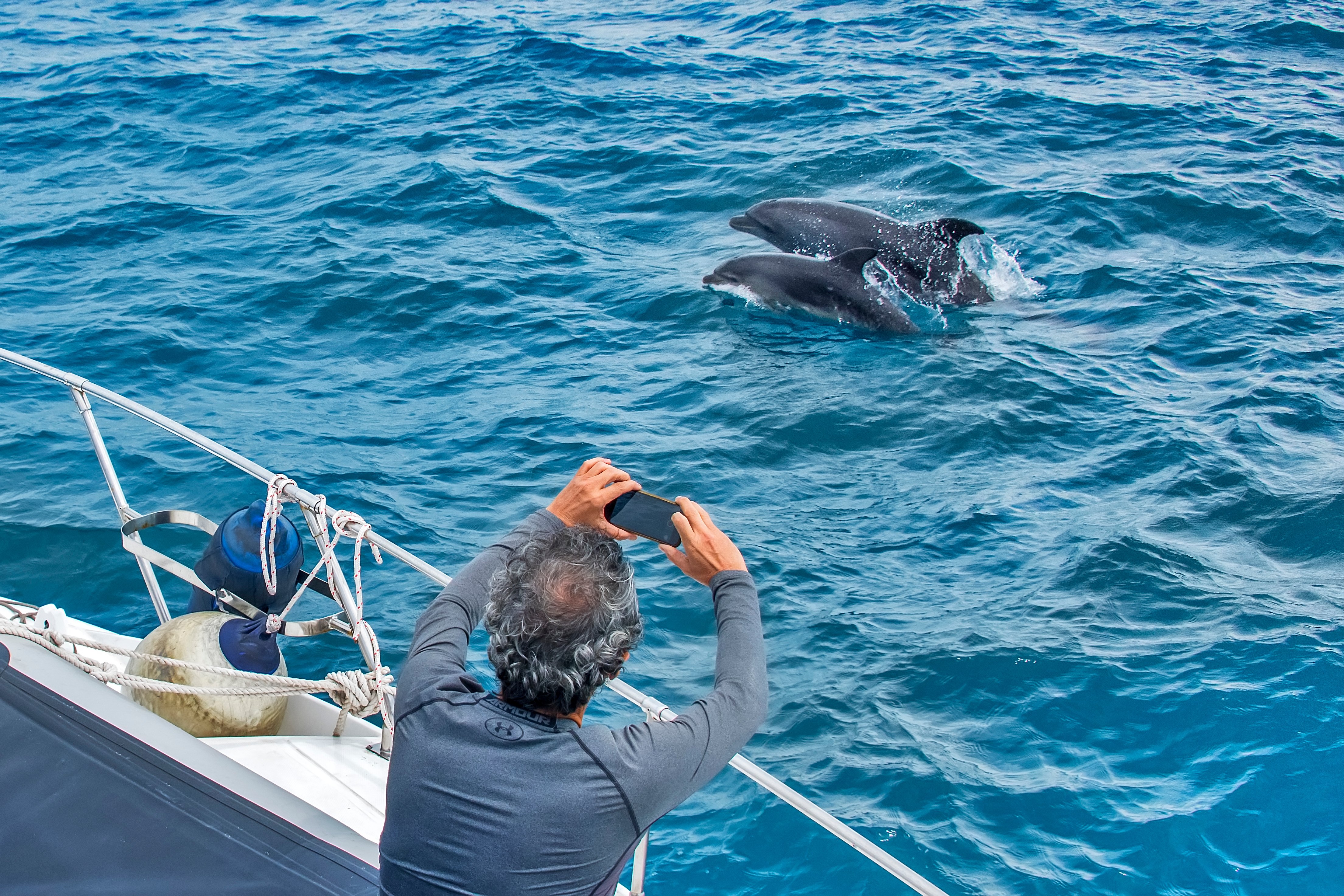 Saltos dos golfinhos encantam até quem frequentemente os avista a trabalho