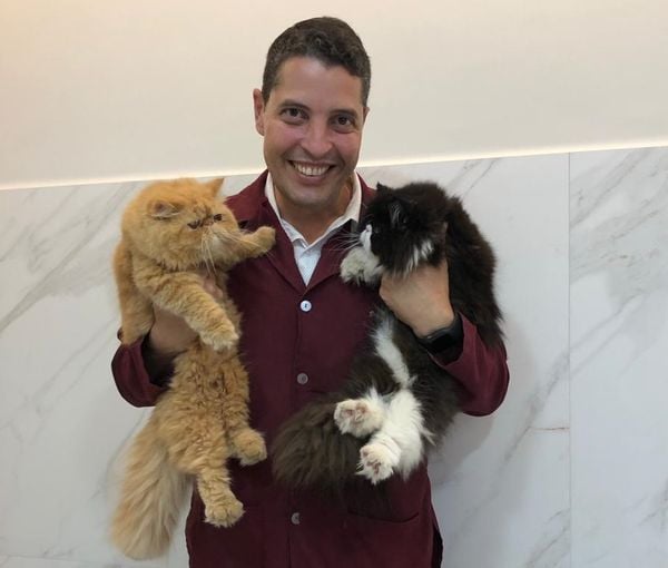 O médico veterinário Marcus Campus Braum sugeriu a Assembleia Legislativa um Projeto de Lei obrigando os canis e gatis a ter um Responsável Técnico