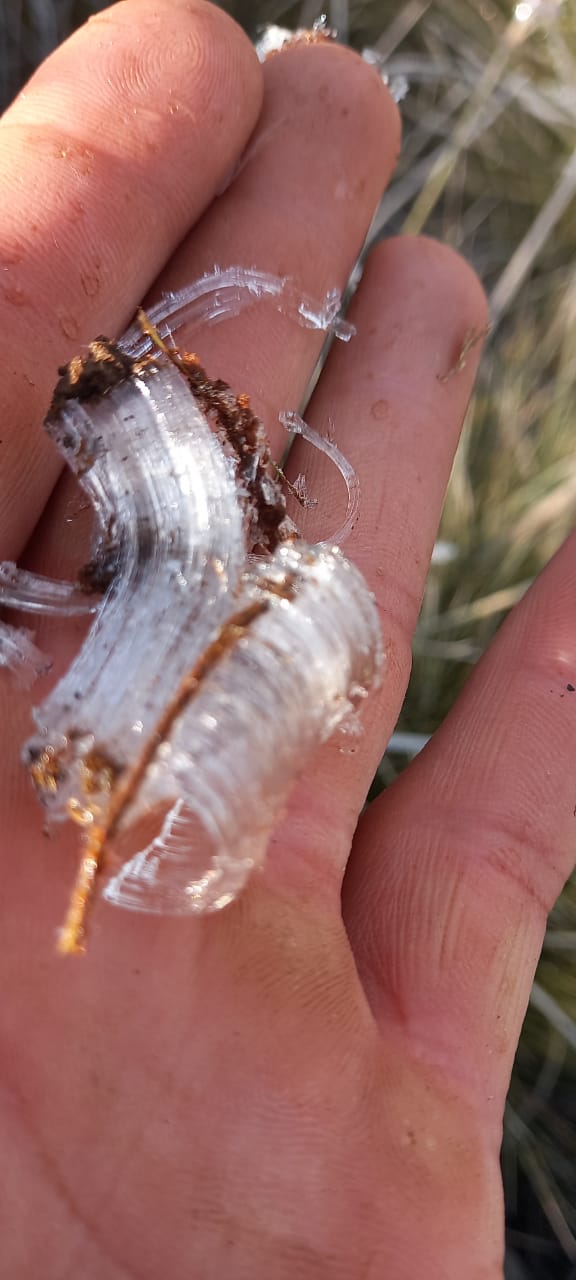 Frio muda cenário e "congela" Caparaó Capixaba por Ivan Souza