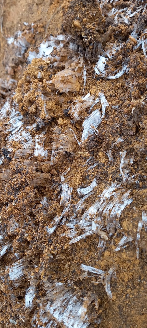Frio muda cenário e "congela" Caparaó Capixaba por Ivan Souza