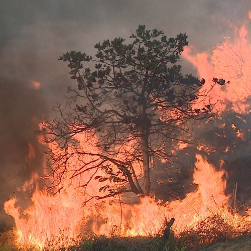 Fumaça de incêndio em vegetação interrompe aulas de creche em Colatina