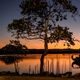 Imagem - Outono termina com luzes e cores intensas na Ilha das Caieiras