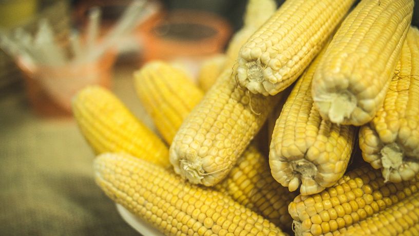 Festa junina em casa: alternativas saudáveis pra você saborear