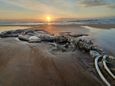 Esqueleto de baleia é encontrado na praia de Guriri(André Nogueira do Nascimento)
