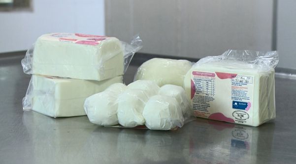 Produção de queijo é destaque na agroindústria de Linhares
