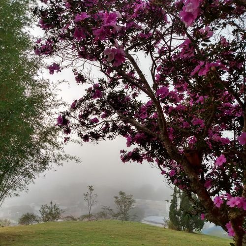 Alerta do Instituto Nacional de Meteorologia é válido para quarta-feira (28). A partir de quinta-feira (29), frente fria deve avançar sobre regiões do país, incluindo o Estado