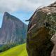 Imagem - Fotos registram animais que vivem no Parque da Pedra Azul